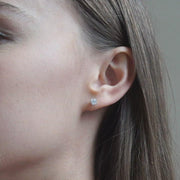CR-E313 - 14 K Gold and 0.2 Ctw Diamond Earring