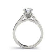 Round Brilliant Cut Diamonds With 4-Diamond side Stone Engagement Ring(  0.7 CTW)